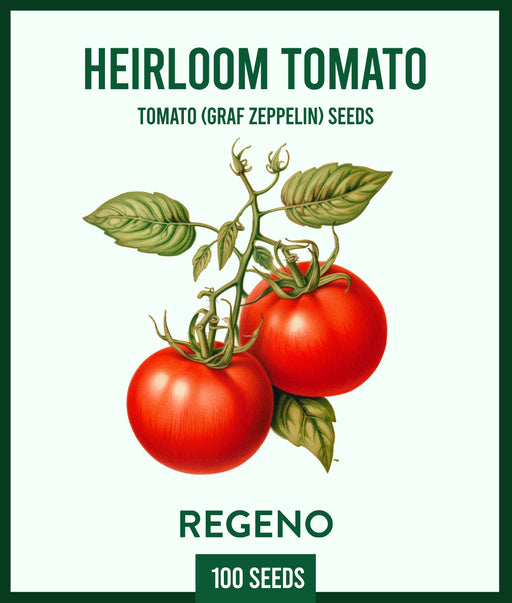 Heirloom Tomato Seeds - Graf Zeppelin